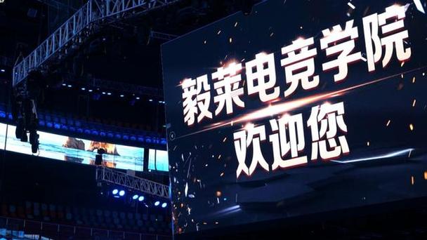 怎样才能进入电竞学院-怎么才能进入电竞职业队