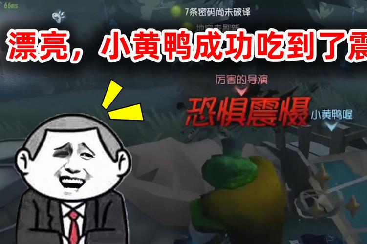 小黄鸭电竞-小黄鸭电竞导演见