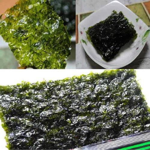 海苔由哪种海藻制作而成-海苔由哪种海藻制作而成的呢