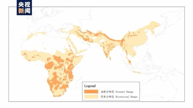 老虎地图下载-老虎地图下载2022