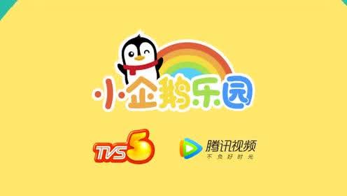 企鹅乐园-腾讯视频会员和小企鹅乐园