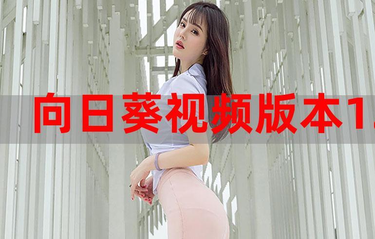 向日葵视频色版app下载污-